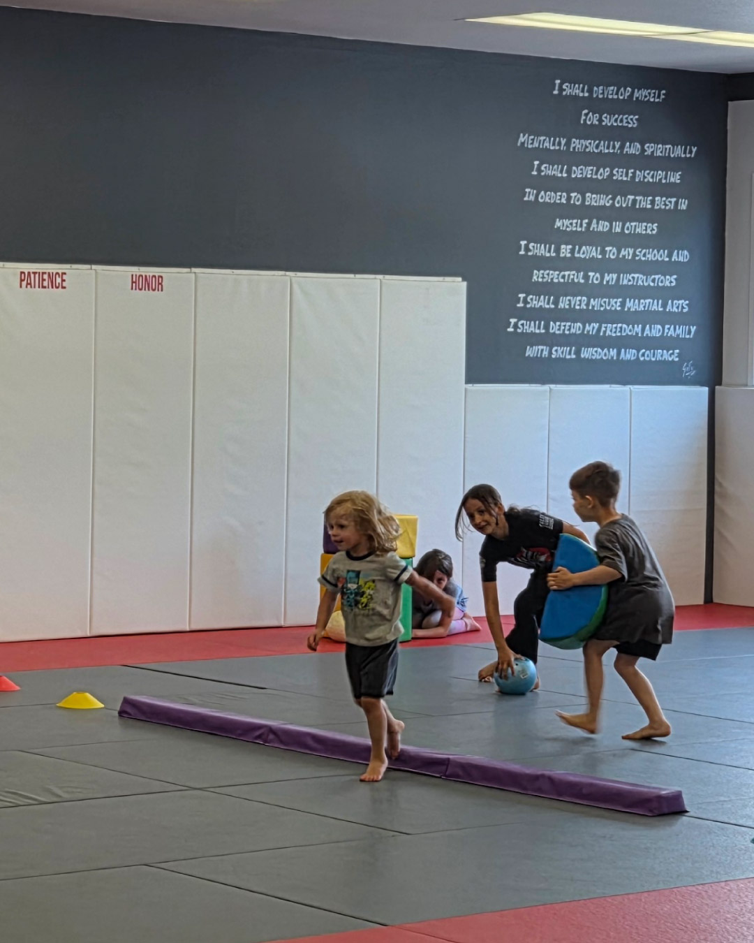 A group of children play on mats. The children are young of various genders and races. The wall is white with a Lone Wolf Jiu-Jitsu logo with the words "Focus", "Strength", "Perseverance" "Honor" and "Helpful". The mats are black and red with various soft building blocks of various colors.